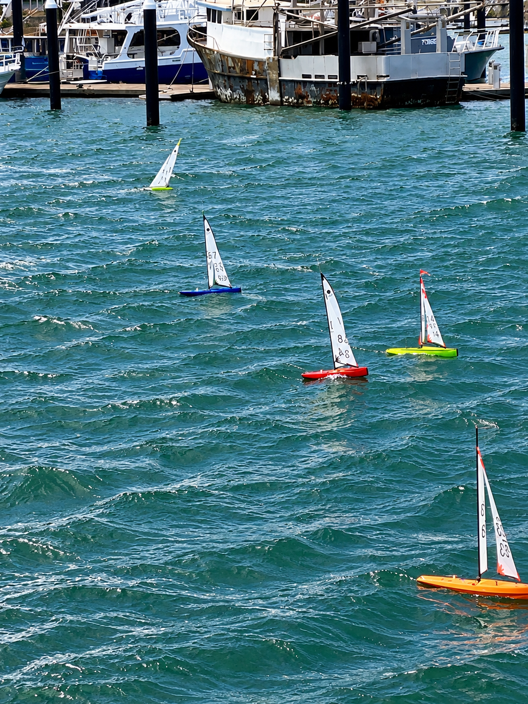Happy Rock Delivers as Halton Claims Queensland IOM Crown