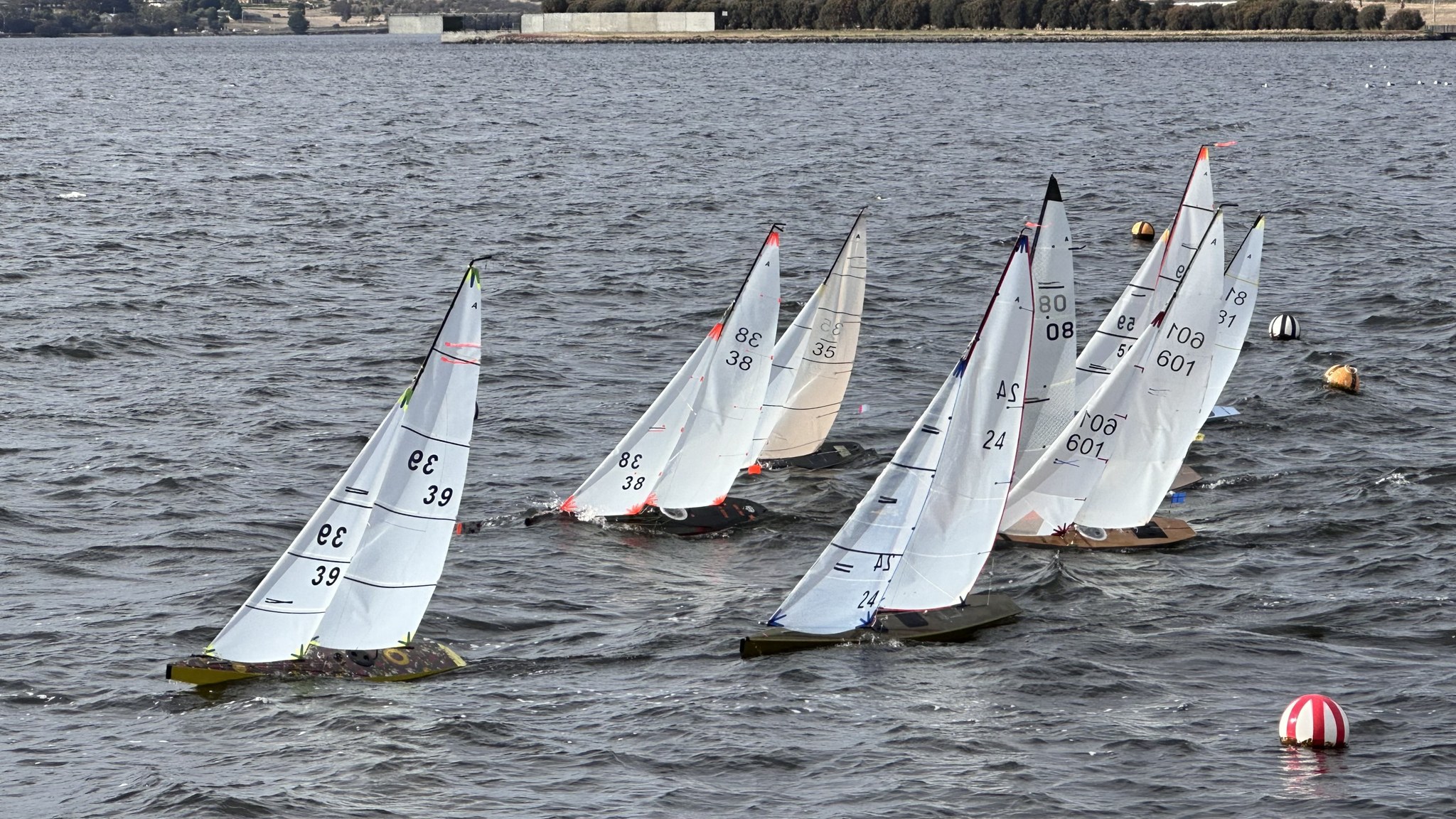 tasa3